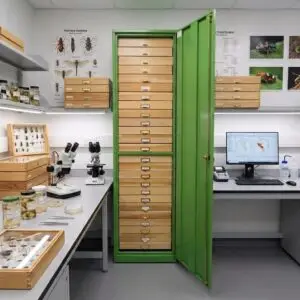 Armarios y gabinetes para entomología